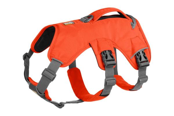 Ruffwear Web Master Harness Blaze Orange Gr. L/XL